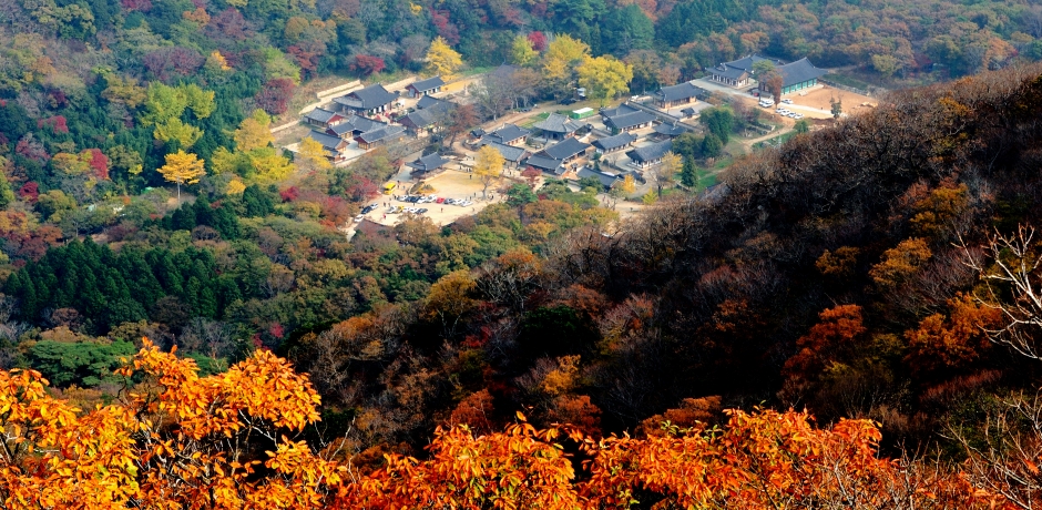 발길 닿은 곳마다 명승고적,