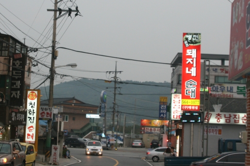 병천순대거리에는 20여 곳이 넘는 순대 전문점이 있다. 