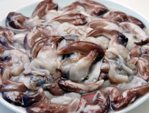 귀하디 귀한 맛