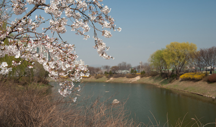 이미지명