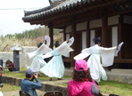 영천 대창 복사꽃 문화축제,지역축제,축제정보