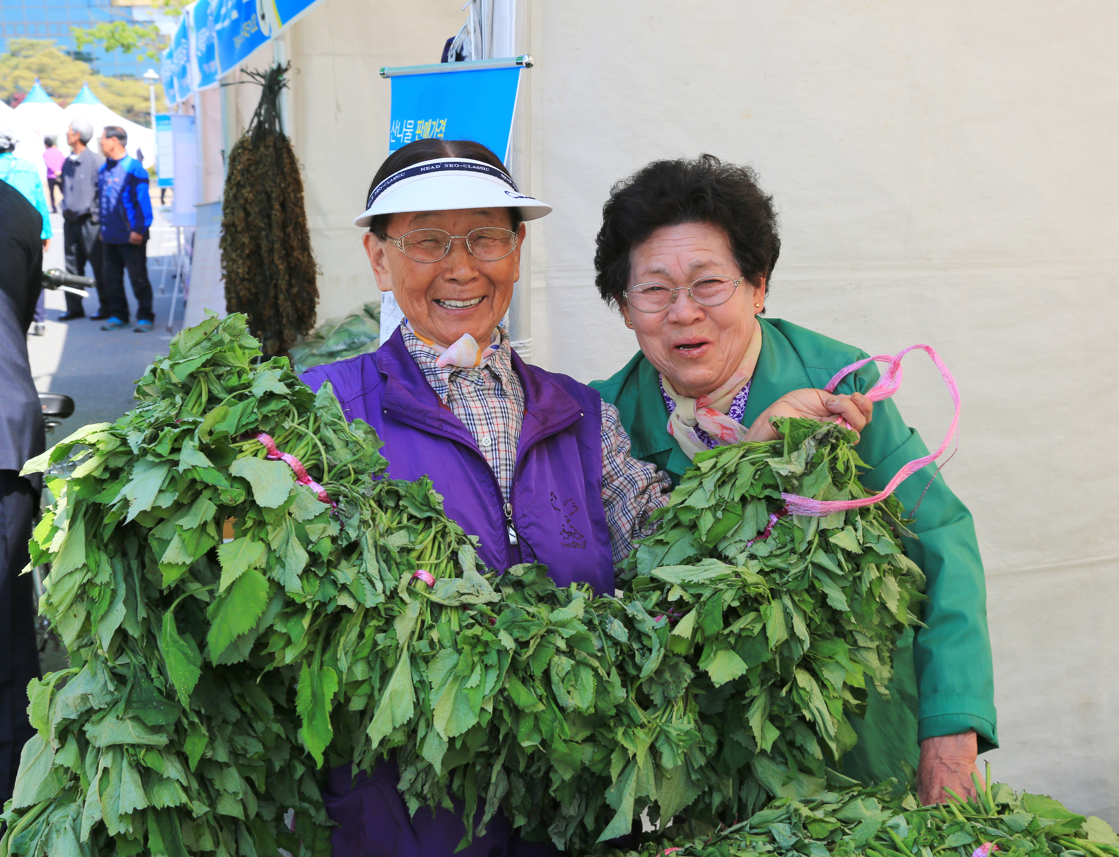 영양산나물축제,지역축제,축제정보