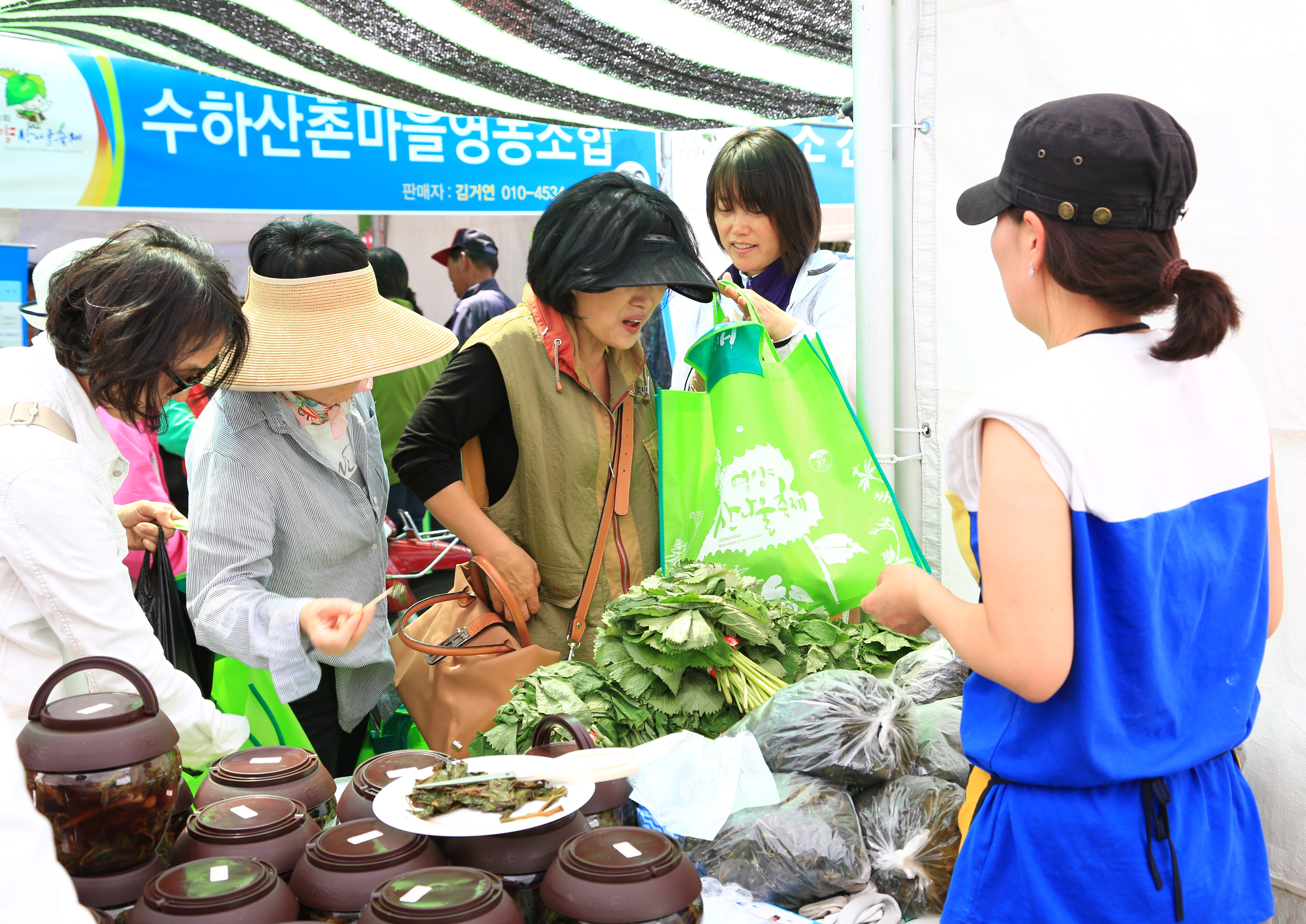 영양산나물축제,지역축제,축제정보