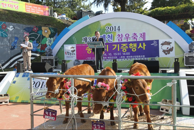 예천참우축제,지역축제,축제정보