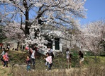 유천문화축제,지역축제,축제정보