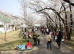 유천문화축제,지역축제,축제정보