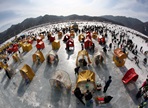 인제빙어축제,지역축제,축제정보