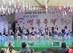 도당산벚꽃축제,지역축제,축제정보