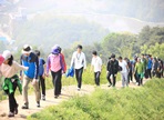 독산성문화제,지역축제,축제정보