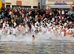 거제도 국제펭귄수영축제,지역축제,축제정보