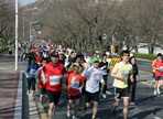 경주벚꽃마라톤대회,지역축제,축제정보