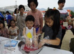 문경오미자축제,지역축제,축제정보