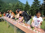 단양 소백산 철쭉제,지역축제,축제정보