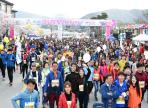 경주벚꽃마라톤대회,지역축제,축제정보