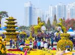 익산천만송이국화축제,지역축제,축제정보