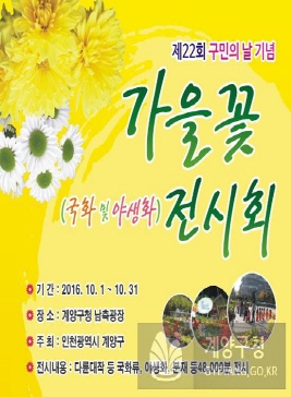 계양구 가을꽃 전시회,지역축제,축제정보