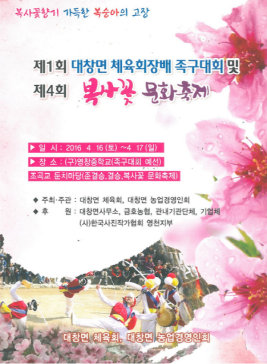 영천 대창 복사꽃 문화축제,지역축제,축제정보