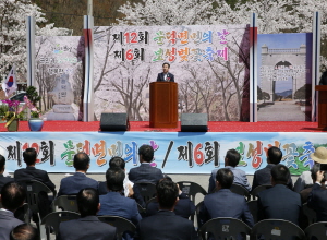 보성벚꽃축제,지역축제,축제정보