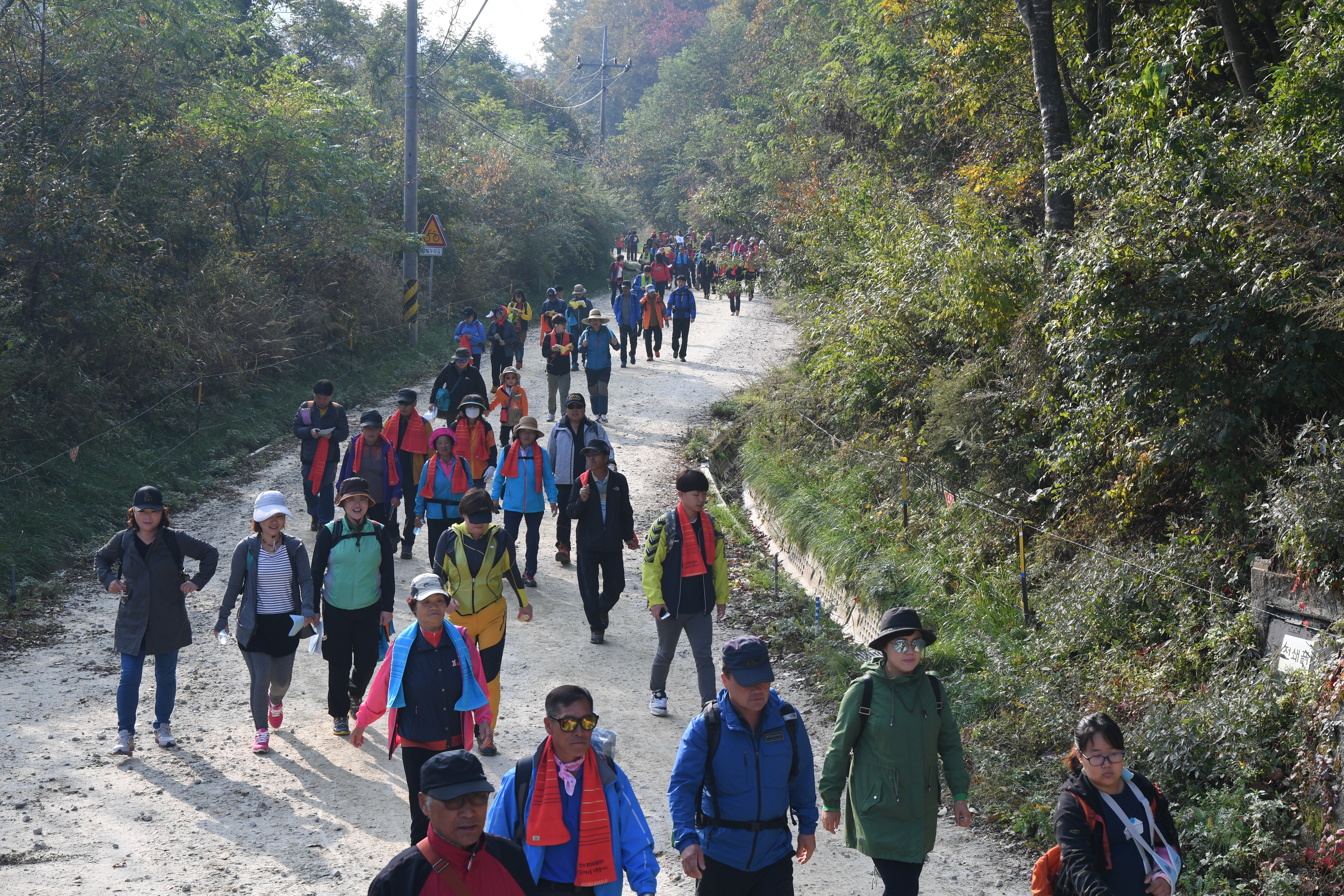 금강산가는 옛길 걷기대회,지역축제,축제정보