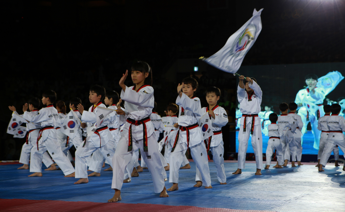 안양 세계태권도한마당,지역축제,축제정보