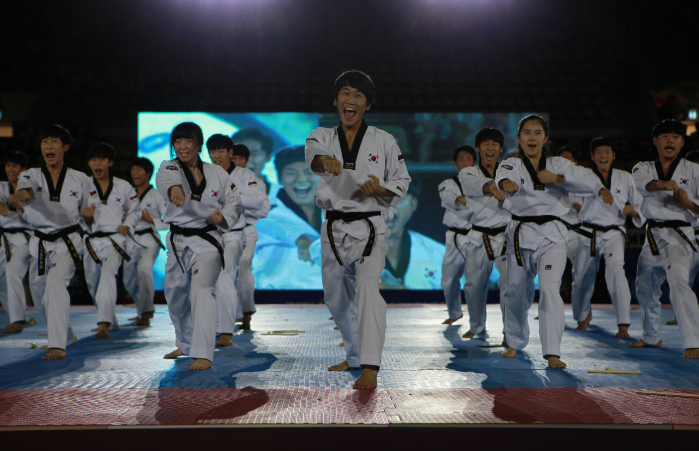 안양 세계태권도한마당,지역축제,축제정보