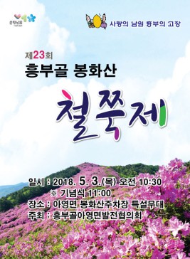 봉화산철쭉제,지역축제,축제정보