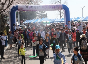 장봉도 벚꽃축제,지역축제,축제정보