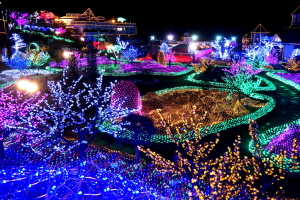 허브아일랜드 불빛동화축제,경기도 포천시,지역축제,축제정보