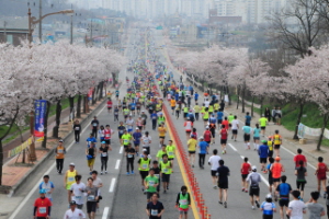 예산윤봉길전국마라톤대회,국내여행,음식정보