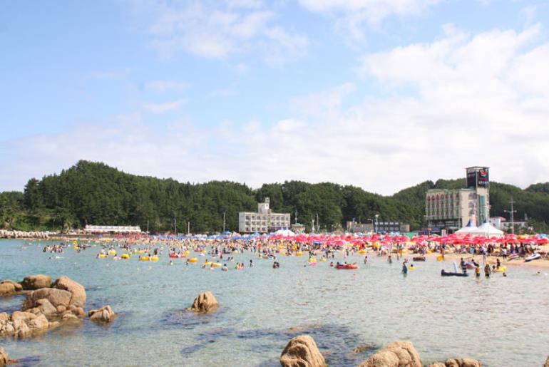 쟁기동 38평화마을 여름해변축제,국내여행,음식정보
