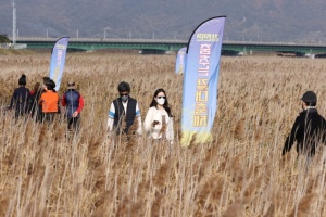 강진만 춤추는 갈대축제,전라남도 강진군,지역축제,축제정보