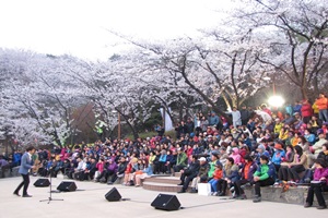 안산 자락길 벚꽃음악회,국내여행,음식정보