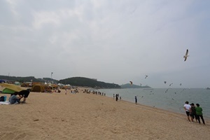 인천 왕산 해양축제,국내여행,음식정보
