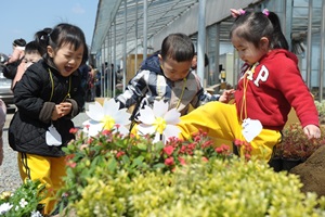 동구불로화훼봄꽃축제,대구광역시 동구,지역축제,축제정보