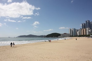 부산국제매직페스티벌,부산광역시 해운대구,지역축제,축제정보