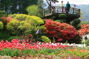 아침고요수목원 봄나들이 봄꽃축제,경기도 가평군,지역축제,축제정보