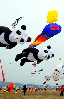 날아라, 의성세계연축제