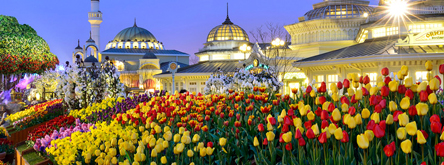 에버랜드 튤립축제와 함께