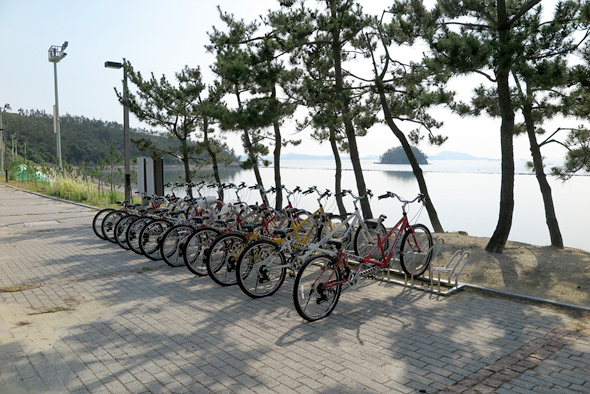 공원에서는 자전거를 대여해 탈 수도 있다