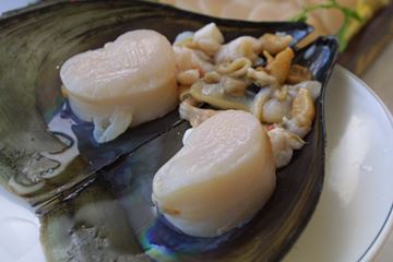 장흥의 키조개는 엄청난 크기와 훌륭한 맛으로 유명하다.