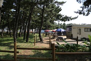 근심 걱정을 모두 날려줄 동해 풍경과 캐러반