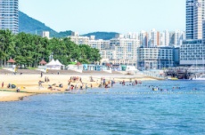 전남도, 해양레저스포츠·볼거리 가득 전남 해수욕장 5일부터 개장, 국내여행, 여행정보