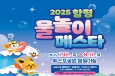 함평군 여름 축제인 ‘2025 함평 물놀이 페스타’ 올해 첫 개최 , 국내여행, 여행정보