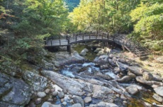 단양군의 청정 계곡, 여름 피서지로 큰 인기, 국내여행, 여행정보