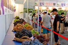 8월의 달콤한 유혹, 2025 향수옥천 포도복숭아축제 개막, 국내여행, 여행정보