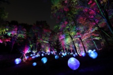 부천 루미나래 정식 개장…‘빛이 그리는 무릉도원의 밤’, 국내여행, 여행정보