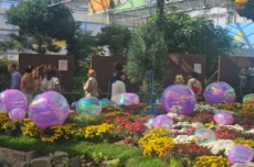 함평군, 나비와 함께 하는 가을 여행… 나비곤충생태관, 국내여행, 여행정보