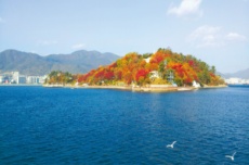 창원시, 가을 단풍 명소 ‘돝섬’으로 오세요, 국내여행, 여행정보