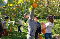 전남도, 11월 농촌체험휴양마을에 곡성 가정마을, 국내여행, 여행정보