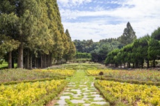익산시, '비밀의 정원'에서 '채석장 전망대'까지…익산 황등을 걷다, 국내여행, 여행정보
